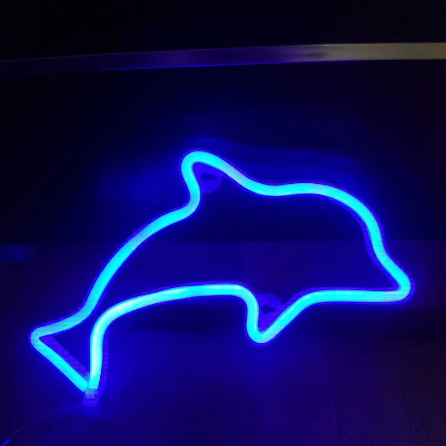 Dolphin Neon Sign