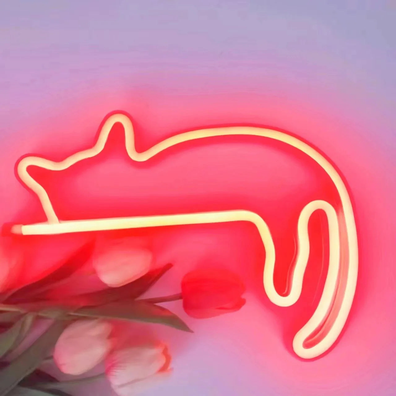Sleeping Cat Neon Sign